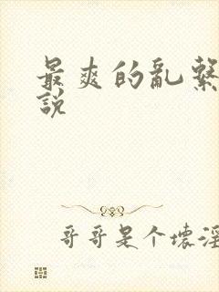 最爽的乱系列小说