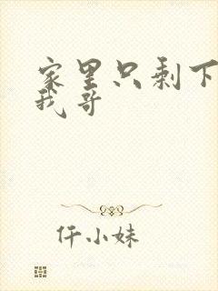 家里只剩下我和我哥