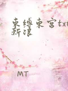 束缚东宫txt新浪