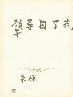 领导日了我一下午
