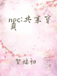 npc:共享宝贝