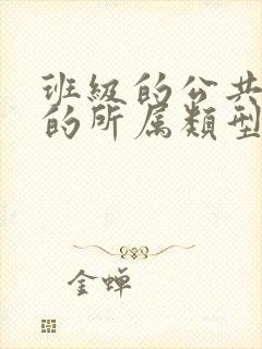 班级的公共小0的所属类型