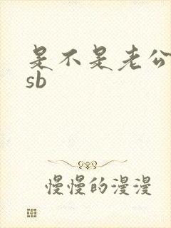 是不是老公的小sb