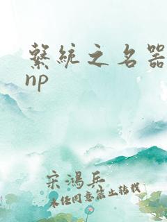 系统之名器攻略np