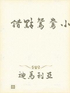 错点鸳鸯小说