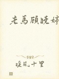 老马顾晓婷小说