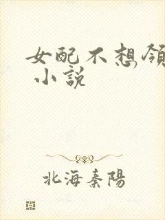 女配不想领便当 小说