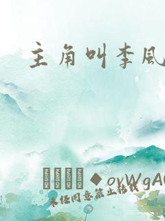 主角叫李风起