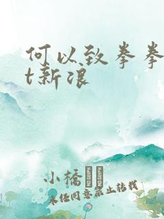 何以致拳拳txt新浪