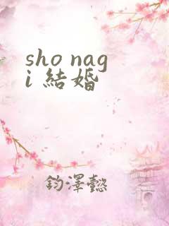 sho nagi 结婚