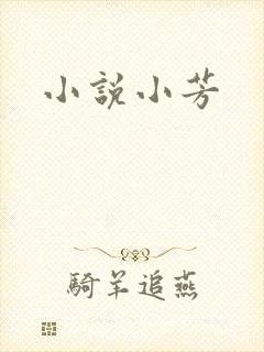 小说小芳