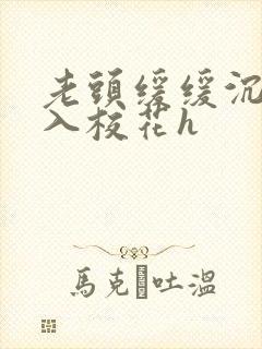 老头缓缓沉腰进入校花h