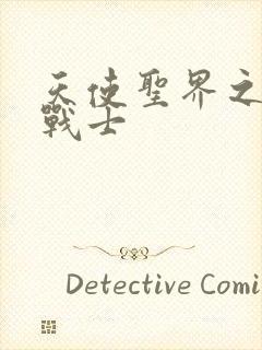 天使圣界之神之战士