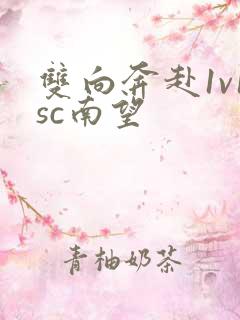 双向奔赴1v1sc南望