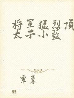 将军猛烈顶弄h太子小蓝