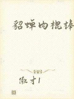 貂蝉肉棍棒小说