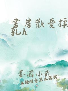 书房欢爱揉捏娇乳h