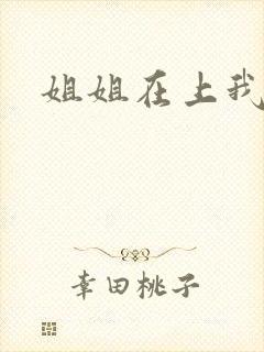 姐姐在上我在下