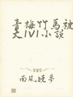 青梅竹马被C到大1V1小说