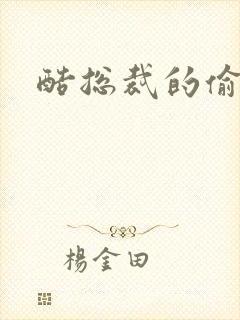 酷总裁的偷孕妻