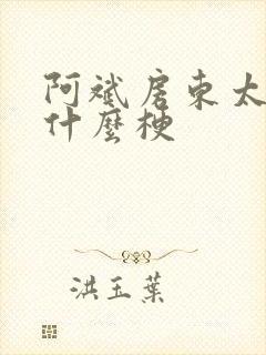 阿斌房东太太是什么梗