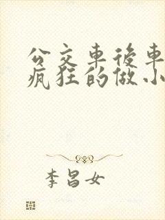 公交车后车座的疯狂的做小