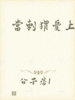 当刺猬爱上玫瑰