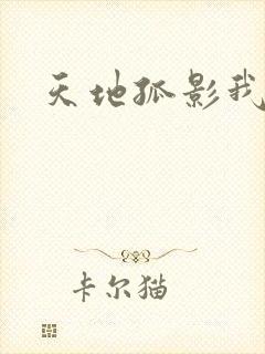天地孤影我独行