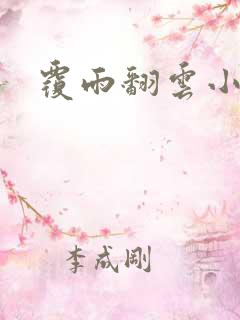 覆雨翻云小说