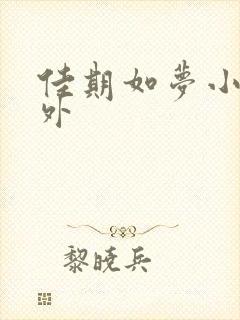 佳期如梦小说番外