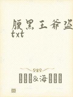 腹黑王爷盗墓妃txt