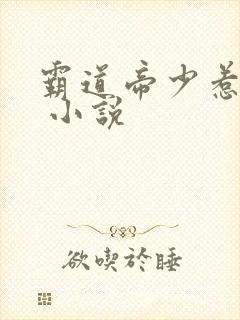 霸道帝少惹不得 小说