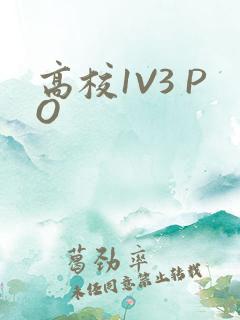 高校1V3 PO