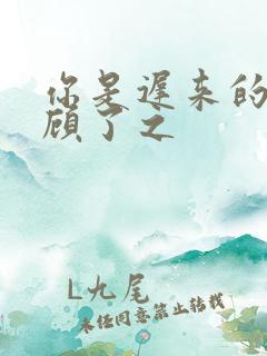 你是迟来的欢喜顾了之