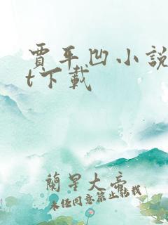 贾平凹小说txt下载