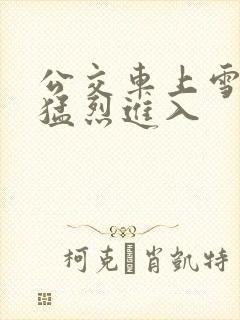 公交车上雪柔被猛烈进入