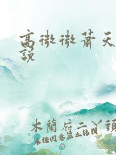 高微微萧天策小说