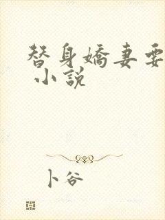 替身娇妻要离婚 小说