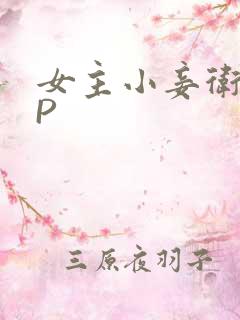女主小妾卫府NP