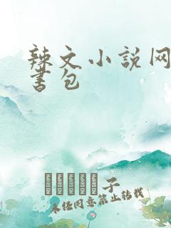 辣文小说网第二书包