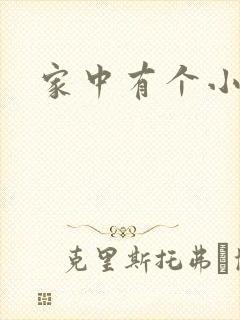 家中有个小姨子