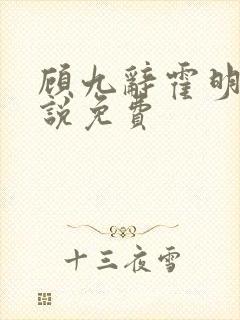 顾九辞霍明澈小说免费