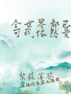 全世界都已剧终可我依然爱你