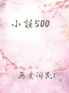 小说500