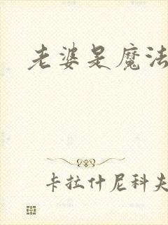 老婆是魔法少女