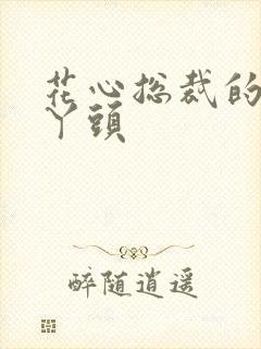 花心总裁的小小丫头