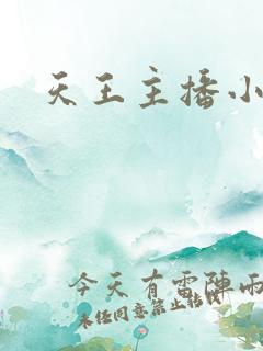 天王主播小说