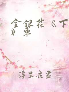 金银花《下厨房》车