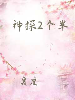 神探2个半