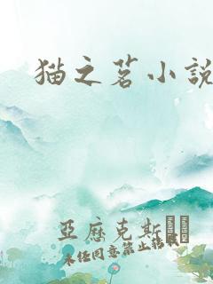 猫之茗小说